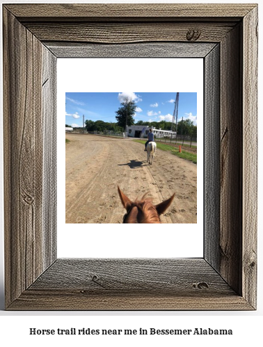 horse trail rides near me in Bessemer, Alabama